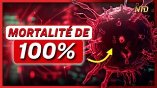 Une souche synthétique du H5N1 tue TOUS les mammifères exposés
