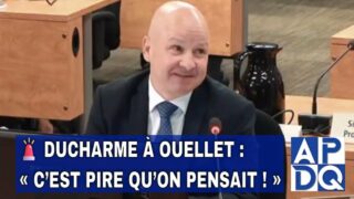 🚨 Ducharme à Ouellet : « C’est pire qu’on pensait ! »