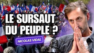 🚨 Effondrement des élites, Colère populaire et France en danger : itv sans filtre avec Nicolas Vidal