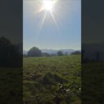 Étape 38 – Saint jean pied de port- Roncevaux – Auritz – Gling gling 🔔 #caminofrancés