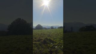 Étape 38 – Saint jean pied de port- Roncevaux – Auritz – Gling gling 🔔 #caminofrancés