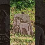 Étape 42 Elizondo – Saint pee sur nivelle #caminodelbastan  #voienivebidassoa