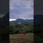 Étape 47 Zumaia – Deba #caminodelnorte