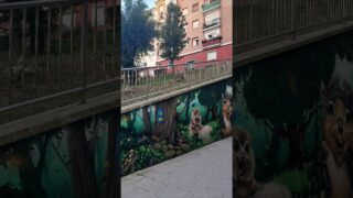 Étape 51 Bilbao – Portugalete #caminodelnorte