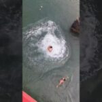 Étape 52 Portugalete – Pobeña #caminodelnorte Étape 52 Portugalete – Pobeña #caminodelnorte