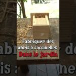 Fabriquer des abris à coccinelles !  #jardin #permaculture