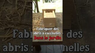 Fabriquer des abris à coccinelles !  #jardin #permaculture