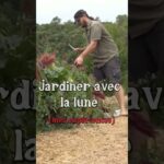 Jardiner avec la lune #jardin #permaculture Jardiner avec la lune #jardin #permaculture