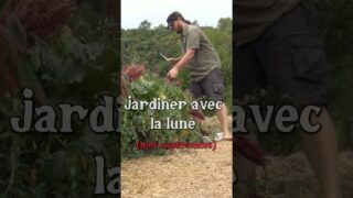 Jardiner avec la lune #jardin #permaculture