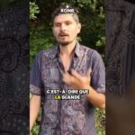 Le rôle de la glande thyroïde dans la régulation du métabolisme Le rôle de la glande thyroïde dans la régulation du métabolisme