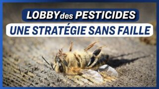 Le vivant est sacrifié sur l’autel des profits…