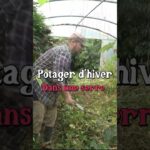 Préparer le potager d’hiver  #jardin #permaculture