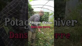 Préparer le potager d’hiver  #jardin #permaculture