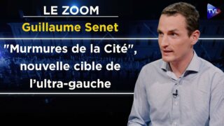 Quand l’extrême-gauche s’en prend à la culture ! – Le Zoom – Guillaume Senet – TVL