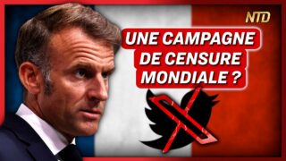 Twitter Files : la France accusée d’avoir bâti un « complexe industriel de la censure » en Europe
