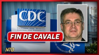 Vaccins et autisme : un scientifique influent arrêté pour fraude