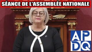⚡ 15 pétitions en 15 minutes : avalanche de revendications!