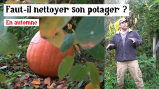 Comment entretenir le potager en automne sans abîmer le sol