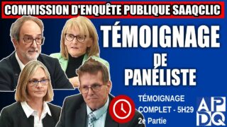Commission d’enquête SAAQclic : Témoignage d’un Panel D’expert 2e partie