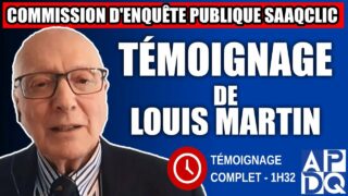 Commission d’enquête SAAQclic : Témoignage de Louis Martin
