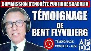 Commission d’enquête SAAQclic : Témoignage de Bent Flyvbjerg