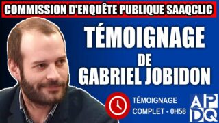 Commission d’enquête SAAQclic : Témoignage de Gabriel Jobidon
