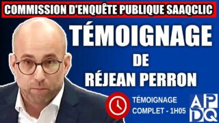 Commission d’enquête SAAQclic : Témoignage de Réjean Perron