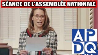 📣 Cris du cœur & répliques sèches : séance à haute tension ! 📣 Cris du cœur & répliques sèches : séance à haute tension !