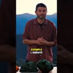 La chlorophylle miracle des jus #shorts La chlorophylle miracle des jus #shorts