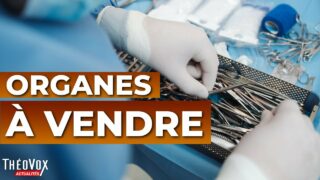 Le scandale qu’on ne veut pas voir | ThéoVox Actualités