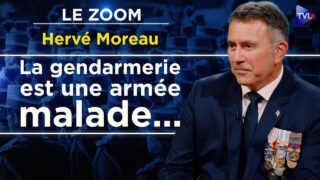 L’honneur d’un capitaine au service de la France – Le Zoom – Hervé Moreau – TVL L’honneur d’un capitaine au service de la France – Le Zoom – Hervé Moreau – TVL