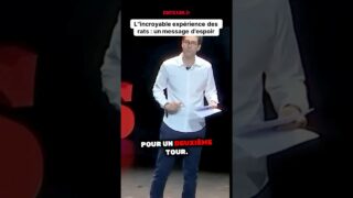 L’incroyable expérience des rats : un message d’espoir saisissant !