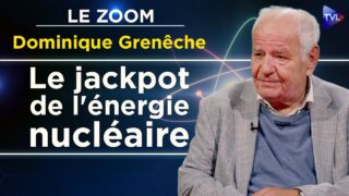 Nucléaire : réacteurs surgénérateurs, une urgence ! – le Zoom – Dominique Grenêche – TVL