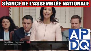 đ„ PL2 adoptĂ© : vote choc Ă  lâAssemblĂ©e ! (4 de 4) đ„ PL2 adoptĂ© : vote choc Ă  lâAssemblĂ©e ! (4 de 4)