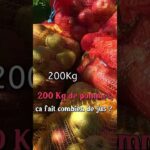 Pommes et jus de pommes #permaculture #forêt #jardin