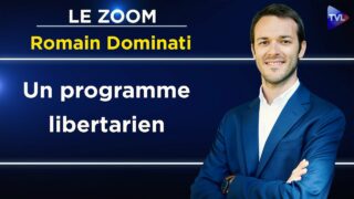 Romain Dominati : Faut-il un Milei en France ? – Le Zoom – TVL