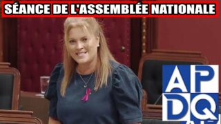 Séance de l’Assemblée Nationale : Transport et Sécurité : Le Point sur les Défis!