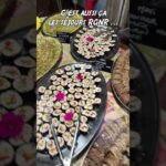 Short Séjour n°5 Le buffet d’accueil