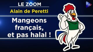 Suivez le Coq : un site pour trouver une alimentation traditionnelle – Le Zoom – Alain de Peretti