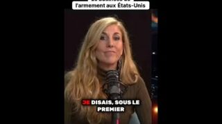 Une plongée fascinante dans l’industrie de l’armement aux États-Unis Une plongée fascinante dans l’industrie de l’armement aux États-Unis