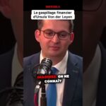720 Milliards ÉVAPORÉS ? Le témoignage qui glace le sang sur les finances de l&rsquo;UE sous Von der Leyen