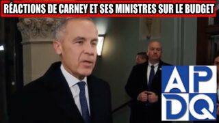 🗳️ Abstentions stratégiques: est-ce vraiment le budget des Canadiens?