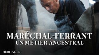 « Ce métier ne pourra jamais être remplacé par un robot » — Un maréchal-ferrant d’exception