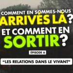 Comment en sommes nous arrivés là ? Ep.6 : Les relations dans le vivant. Eric Ancelet/T.Casasnovas