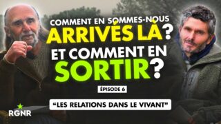 Comment en sommes nous arrivés là ? Ep.6 : Les relations dans le vivant. Eric Ancelet/T.Casasnovas
