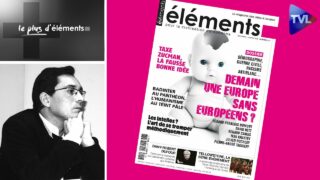 Europe : la guerre civile qui monte – Le plus d’Éléments – TVL