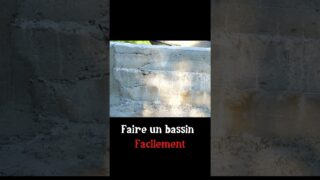 Faire un bassin en béton #jardin #bassin