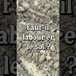 Faut-il labourer le sol du potager ?  #jardin #permaculture