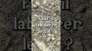Faut-il labourer le sol du potager ?  #jardin #permaculture