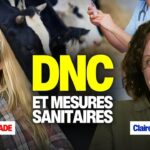 La dermatose nodulaire contagieuse : on fait le point La dermatose nodulaire contagieuse : on fait le point